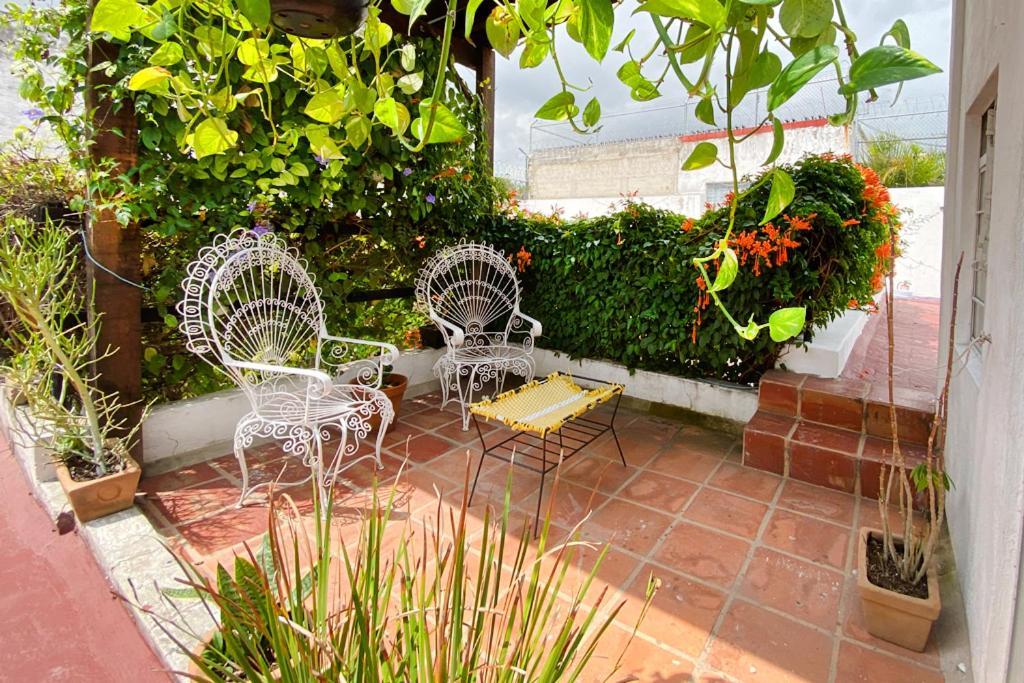 Casa Canario Hostel Guadalajara Exteriér fotografie