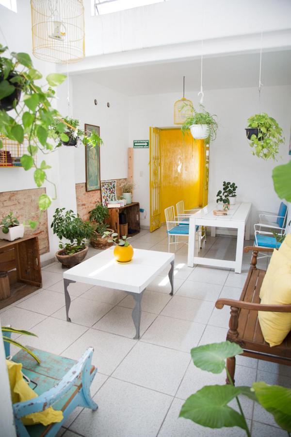 Casa Canario Hostel Guadalajara Exteriér fotografie