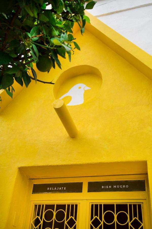 Casa Canario Hostel Guadalajara Exteriér fotografie