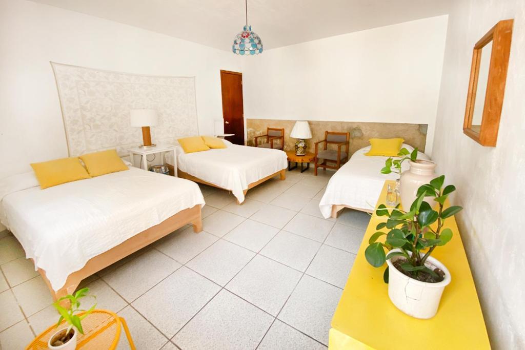 Casa Canario Hostel Guadalajara Exteriér fotografie