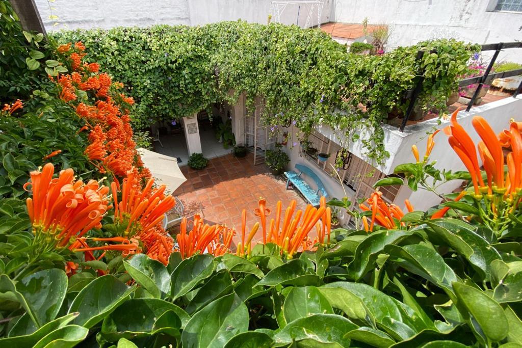 Casa Canario Hostel Guadalajara Exteriér fotografie