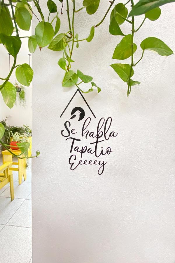 Casa Canario Hostel Guadalajara Exteriér fotografie